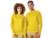 Свитшот 